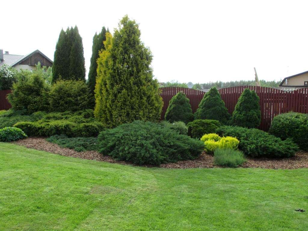 Garden Design & Planting