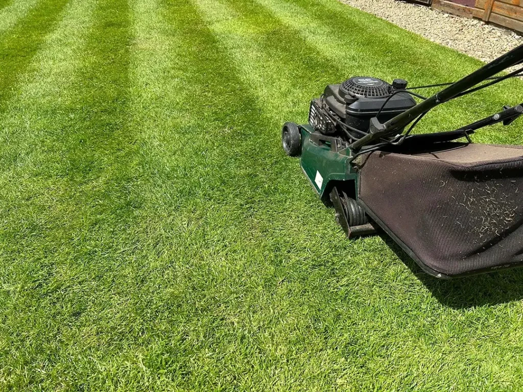 Lawn Maintenance
